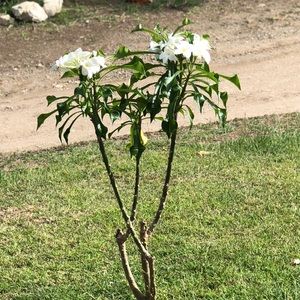 Meet your Posher, Esther